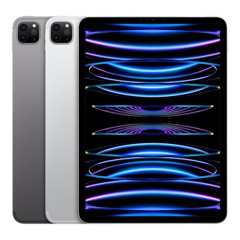 Apple iPad Pro 11" (4. Gen., 2022)