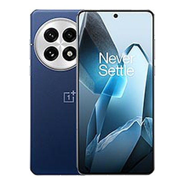 OnePlus 13